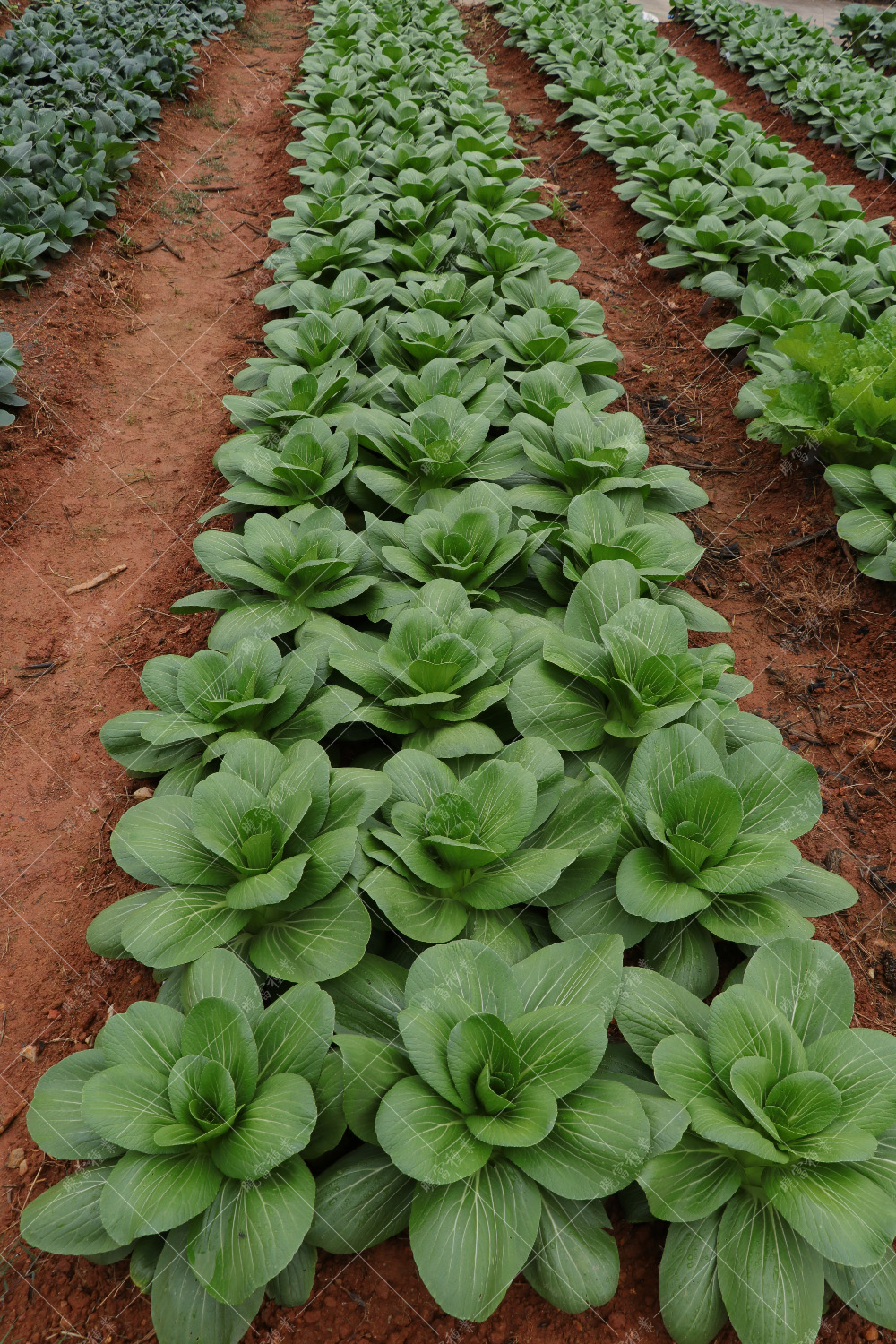 1557814145680180.jpg IMG_4171.jpg