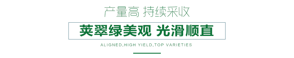 1557910783369527.jpg 詳情頁24.jpg