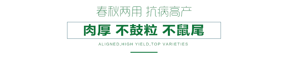 1557978083850227.jpg 詳情頁(yè)21.jpg