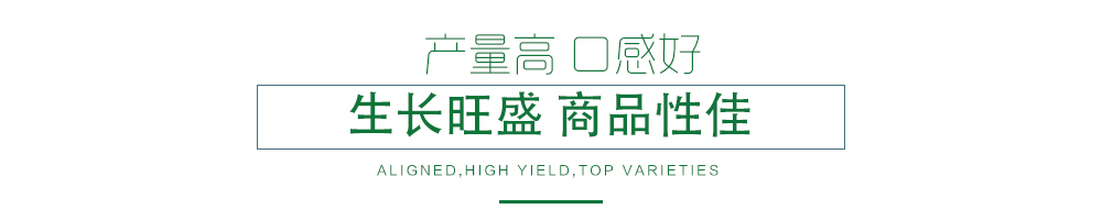 1585788407324697.jpg 03.jpg