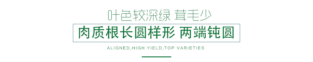 1585788470348724.jpg 07.jpg