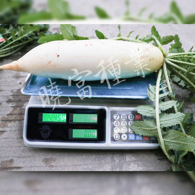 1585789501606839.jpg 04 (2).jpg