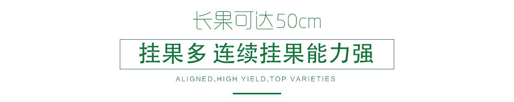 1585791067673418.jpg 03.jpg