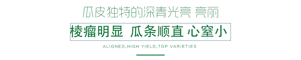 1585991718854720.jpg 03.jpg